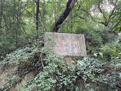 -紫金山天文台