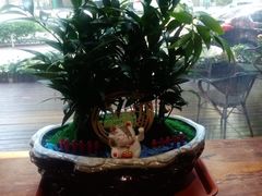 -77号渔船·蒸海鲜青岛菜(积米崖店)