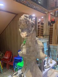 -卡通尼·Safari非洲探索乐园·生日会(金桥国际商业广场店)