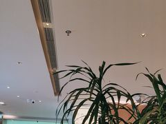 -桂满陇·蟹黄小笼汤包(巴黎春天浦建店)
