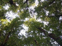 -白河湾生态旅游一条川