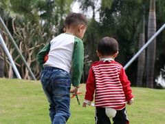 -宝安西湾红树林湿地公园