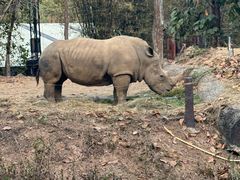 -清迈夜间动物园