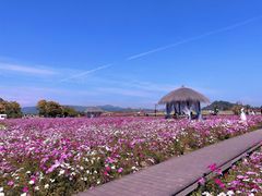 -径山花海