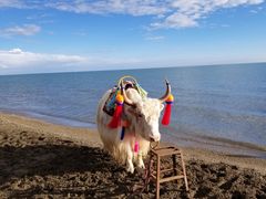 -青海湖国家重点风景名胜区