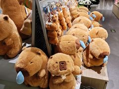 -银座mall(东直门店)