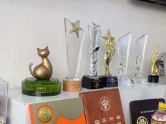 -谐和贝康宠物医院24小时·宠保定点(急重症转诊中心)