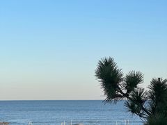 -北戴河转鱼·炒螃蟹酱餐厅