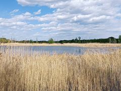 -野鸭湖国家湿地公园