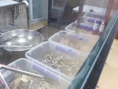 -老秦凉都黄牛肉馆(九堡店)
