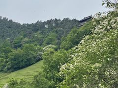 -敬亭山风景名胜区