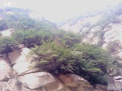 -王顺山国家森林公园