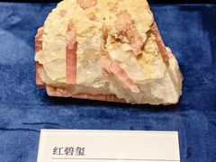 -国家自然博物馆