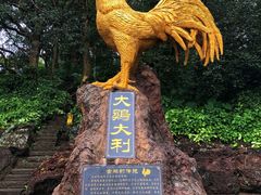 -海口火山口国家地质公园