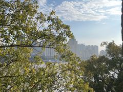 -江心屿景区