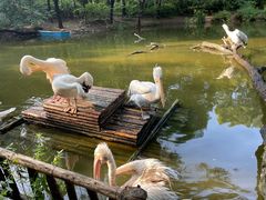 -济南野生动物世界