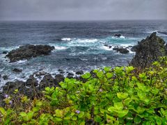 -龙头岩(Dragon Head Rock)