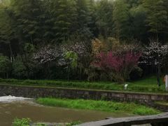 -兰亭风景区