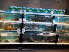 水产区-盒马鲜生(杭州运河上街店)