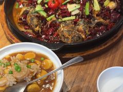 -老板恋上鱼(恒隆广场店)