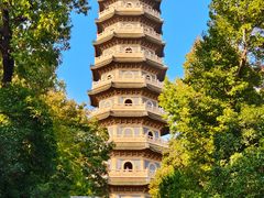 -灵谷景区
