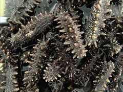 -江杨农产品批发市场