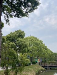 -水八仙生态园