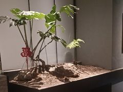 -望京辣宴·古法川菜(望京店)