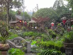 -青城甲(青城山店)