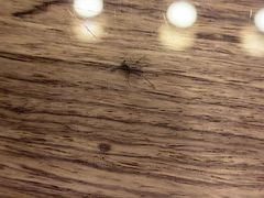 -文儒九号·闽菜馆(三坊七巷店)