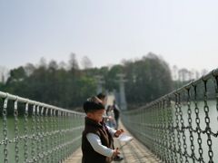 -东湖落雁景区