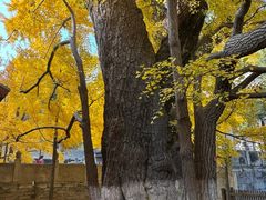 -阳台山自然风景区