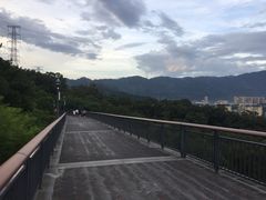 -金鸡山公园