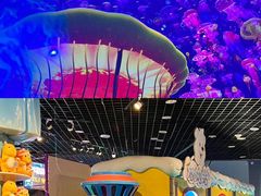 -海合安天津极地海洋公园