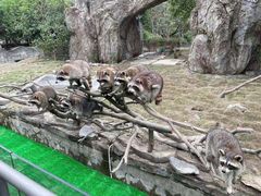 -宁波野生动物园