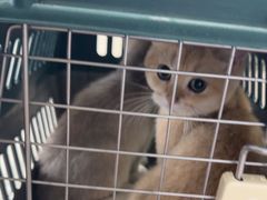 -佳雯宠物医院·皮肤科·内外科(春晓路分院)