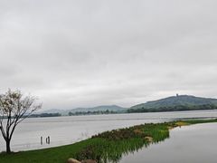 -渤公岛生态公园