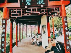 -重庆彩云湖湿地公园