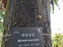 -青青世界