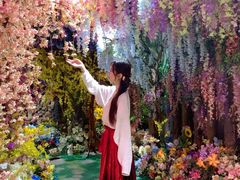 -正佳雨林生态植物园