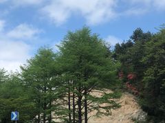 -四明山国家森林公园