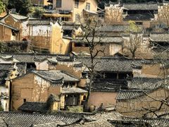 -杨家堂村