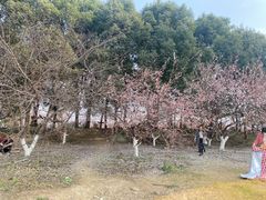 -秀丽东方