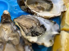 -NORDSEE Frankfurt Fisch Franke