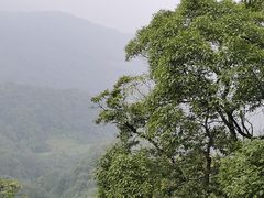 -青城山
