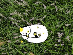 -白鹭湾湿地公园