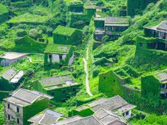 -枸杞岛