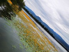 -西昌邛海湿地
