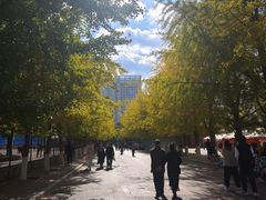 -辽宁大学(崇山校区)