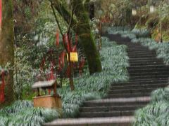 -梦姑塘文化公园